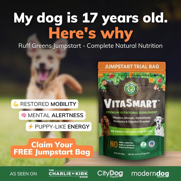 A testimonial-driven ad for a dog supplement that highlights restored mobility and energy through a clear, benefit-focused layout.